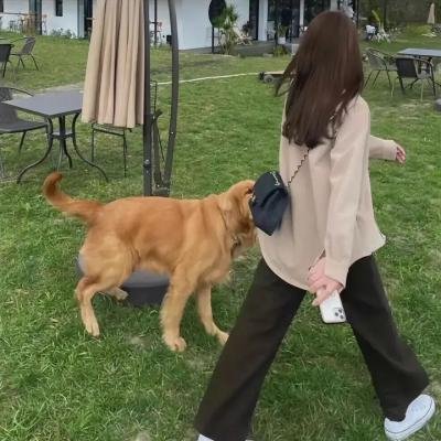 预知死亡纪事